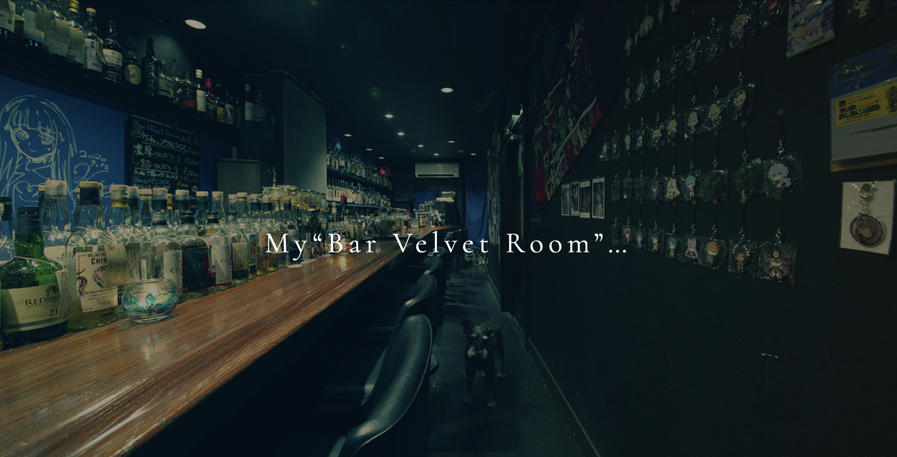 Bar Velvet Room